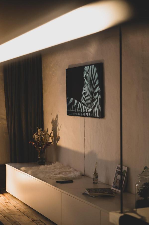L'Appart' - Ideal For A Stay In The City Center Near The Lake อานซี ภายนอก รูปภาพ